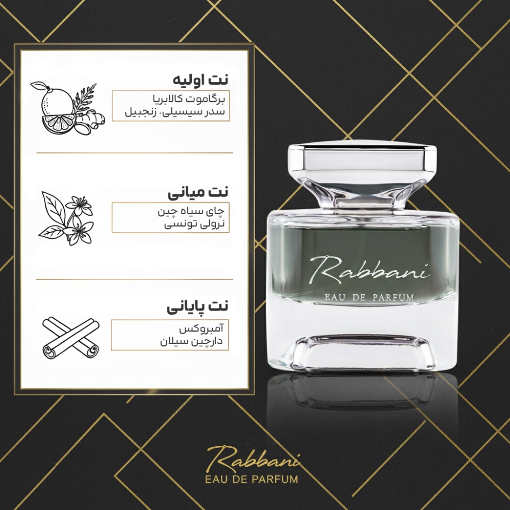 ادوپرفیوم مردانه ربانی مدل Evoke حجم 100 میلی لیتر